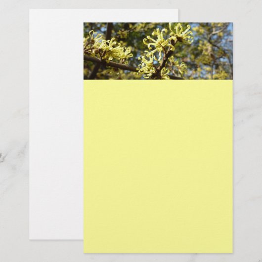 Hexenhazel-Blume Briefpapier (Vorne/Hinten)