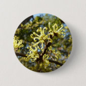 Hexenhazel-Blume Button (Vorderseite)