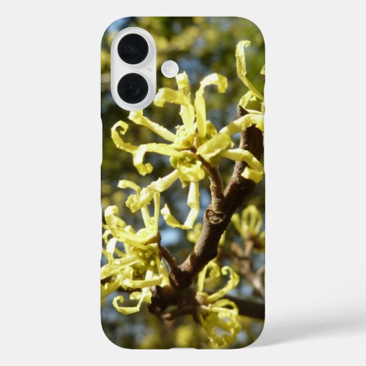 Hexenhazel-Blume Case-Mate iPhone Hülle (Rückseite)