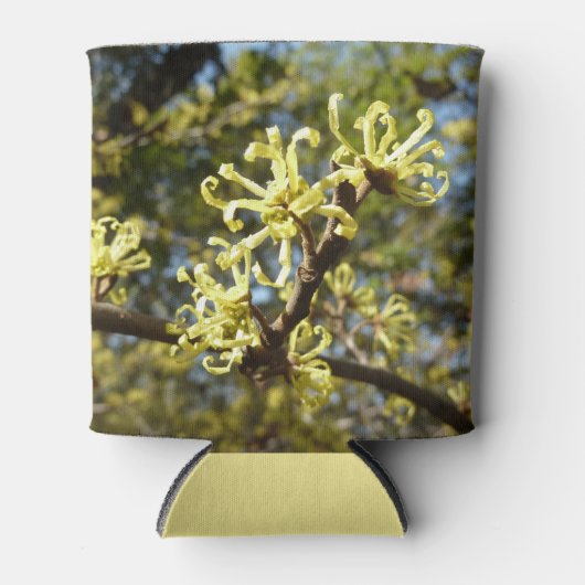 Hexenhazel-Blume Dosenkühler (Vorderseite)