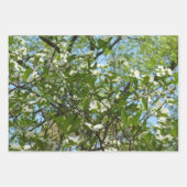 Hexenhazel-Blume Geschenkpapier Set (Vorderseite 2)