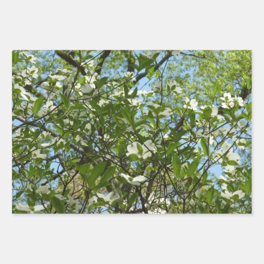 Hexenhazel-Blume Geschenkpapier Set (Vorderseite 2)