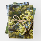 Hexenhazel-Blume Geschenkpapier Set (Beispiel)