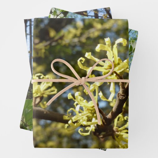 Hexenhazel-Blume Geschenkpapier Set (Beispiel)