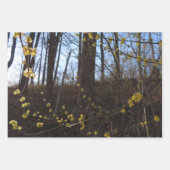 Hexenhazel-Blume Geschenkpapier Set (Vorderseite 3)