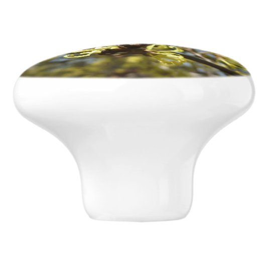 Hexenhazel-Blume Keramikknauf (Seitenansicht)