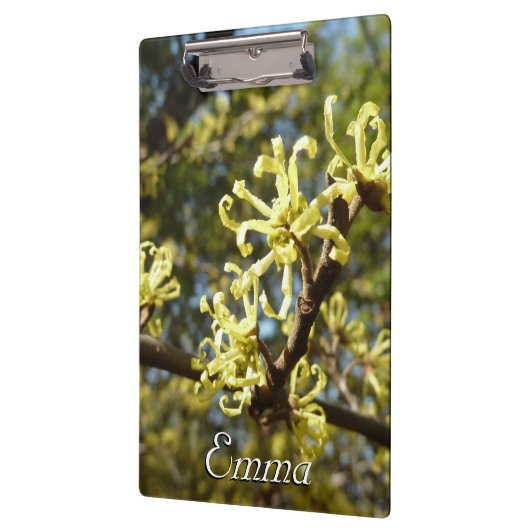 Hexenhazel-Blume Klemmbrett (Links)