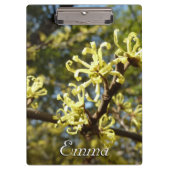 Hexenhazel-Blume Klemmbrett (Vorderseite)