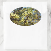 Hexenhazel-Blume Ovaler Aufkleber (Tasche)