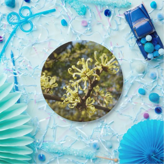 Hexenhazel-Blume Pappteller (Party)