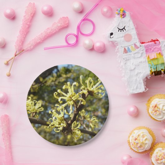 Hexenhazel-Blume Pappteller (Party)