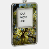 Hexenhazel-Blume Rahmen-Ornament Silber (Rechts)