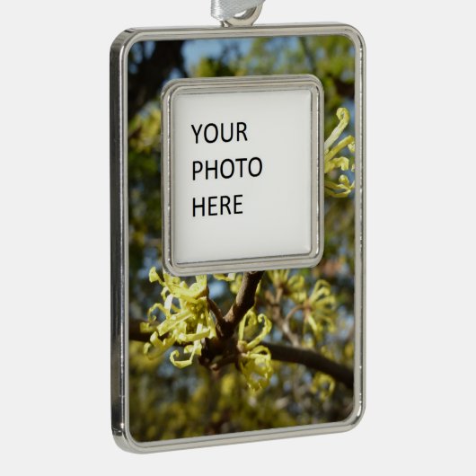 Hexenhazel-Blume Rahmen-Ornament Silber (Rechts)