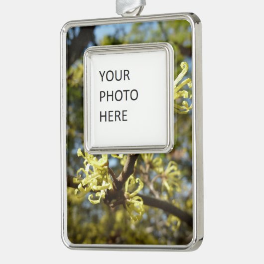 Hexenhazel-Blume Rahmen-Ornament Silber (Links)