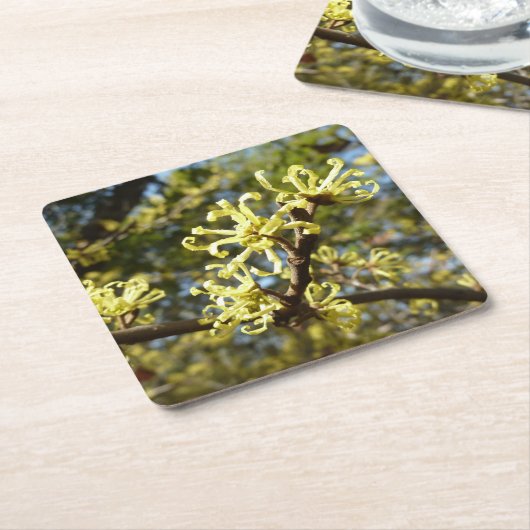 Hexenhazel-Blume Rechteckiger Pappuntersetzer (angewinkelt)