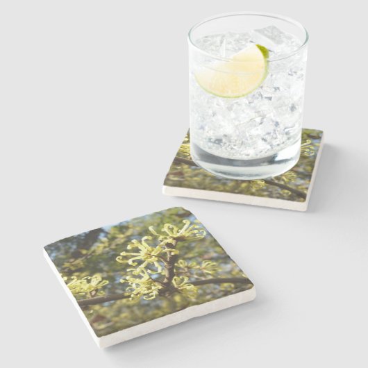 Hexenhazel-Blume Steinuntersetzer (Seitenansicht)