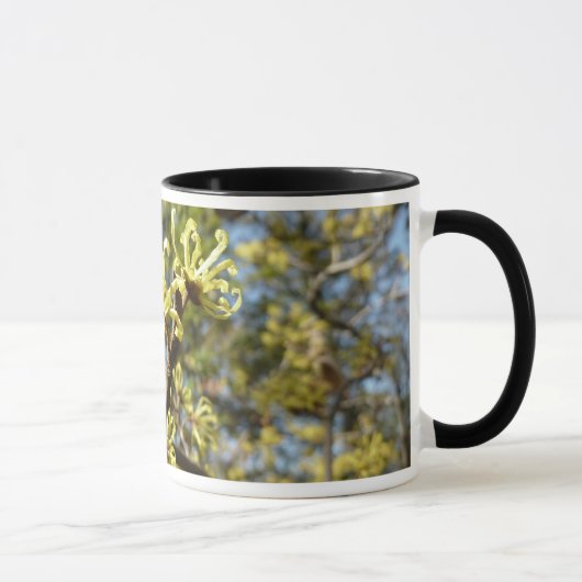 Hexenhazel-Blume Tasse (Rechts)