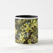 Hexenhazel-Blume Tasse (Zentrum)