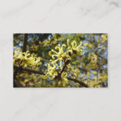 Hexenhazel-Blume Visitenkarte (Rückseite)