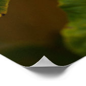 Hexenhazel Poster (Ecke)