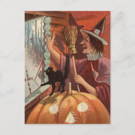 Hexenkatze Kürbislaterne Pumpkin Postkarte