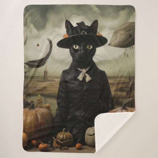 Hexenkatze mit Kürbissen Sherpadecke (Vorderseite)