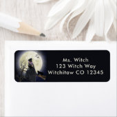 Hexenkatze und Vollmond (Insitu)