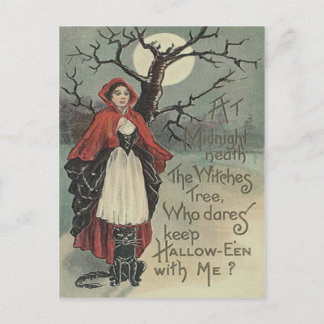 Hexenkatze Vollmond Postkarte