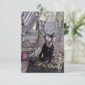 HexenkKostümbuch Funny Dog Foto Card Dankeskarte (Stehend Vorderseite)