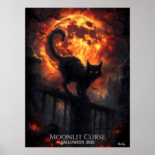 Hexenmeister Poster (Vorne)