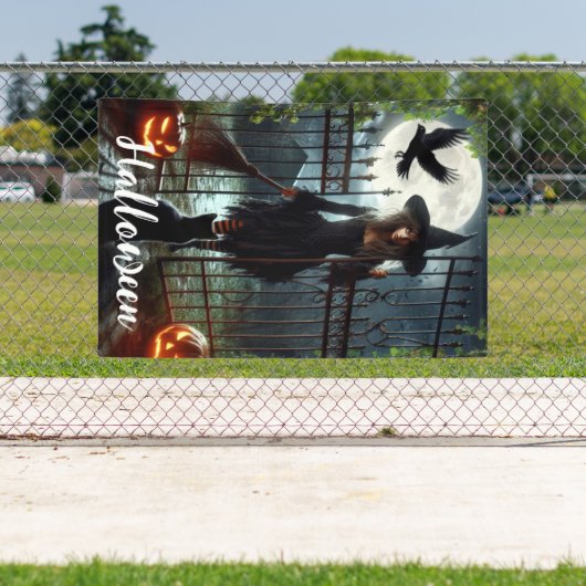 Hexentor Banner (Insitu)