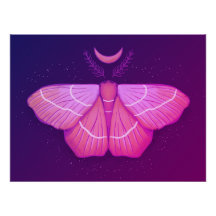 Hexy Moth Lila Magical Insecke Cotattcore