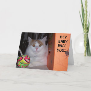 HEY BABY, WERDEN SIE MEIN VALENTINE SAYS KITTEN SE FEIERTAGSKARTE