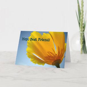 Hey Beste Freundin! Karten Orange Klatschmohn Blum