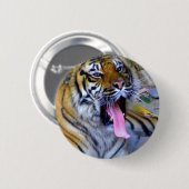 Hey_ Button (Vorne & Hinten)