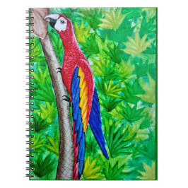 Hey, da ist ein Scarlet-Ara in diesem Baum! Notizblock