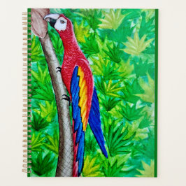 Hey, da ist ein Scarlet-Ara in diesem Baum! Planer