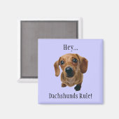 "Hey.. Dackeln Regel!" Magnet (Vorderseite/Rückseite)