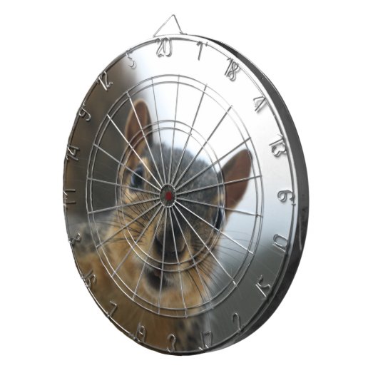 Hey, Dartscheibe (Vorderseite rechts)