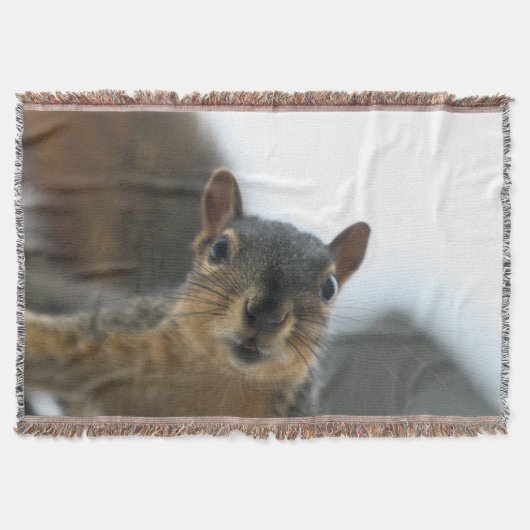 Hey, Decke (Vorderseite)