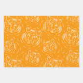 Hey, dort Tiger Muster Trio Packung Papierblätter Geschenkpapier Set (Vorderseite)