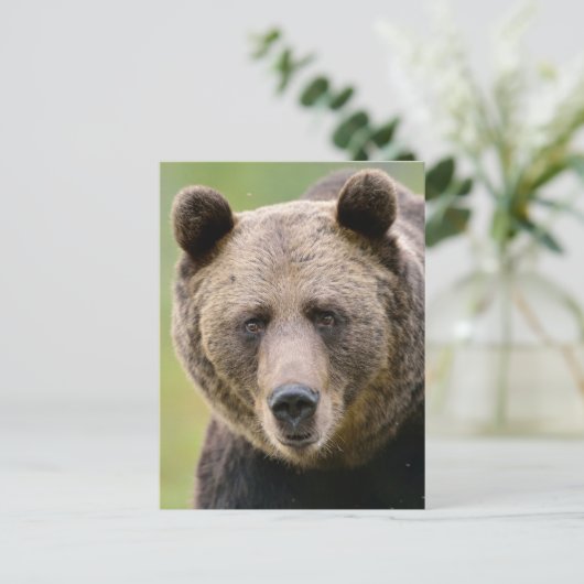 Hey, du Bear Postkarte (Stehend Vorderseite)