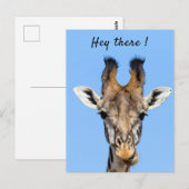 Hey, es lustiges Giraffe-Foto mit Text Postkarte (Vorne/Hinten)