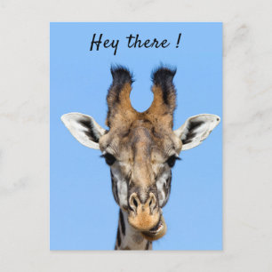Hey, es lustiges Giraffe-Foto mit Text Postkarte