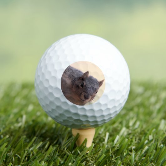 Hey, Golfball (Insitu T-Shirt)