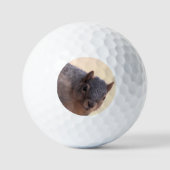 Hey, Golfball (Vorderseite)