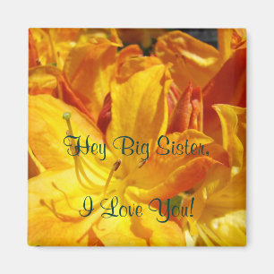 Hey große Schwester ich liebe dich! Magnetgeschenk Magnet