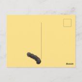 Hey, guter Morgen Postkarte (Rückseite)
