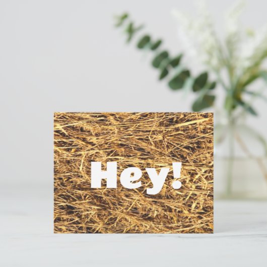 Hey! Hay Postcard Postkarte (Stehend Vorderseite)