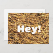 Hey! Hay Postcard Postkarte (Vorne/Hinten)